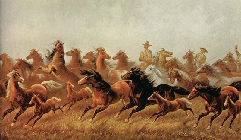 James Walker Roping wild horses France oil painting art